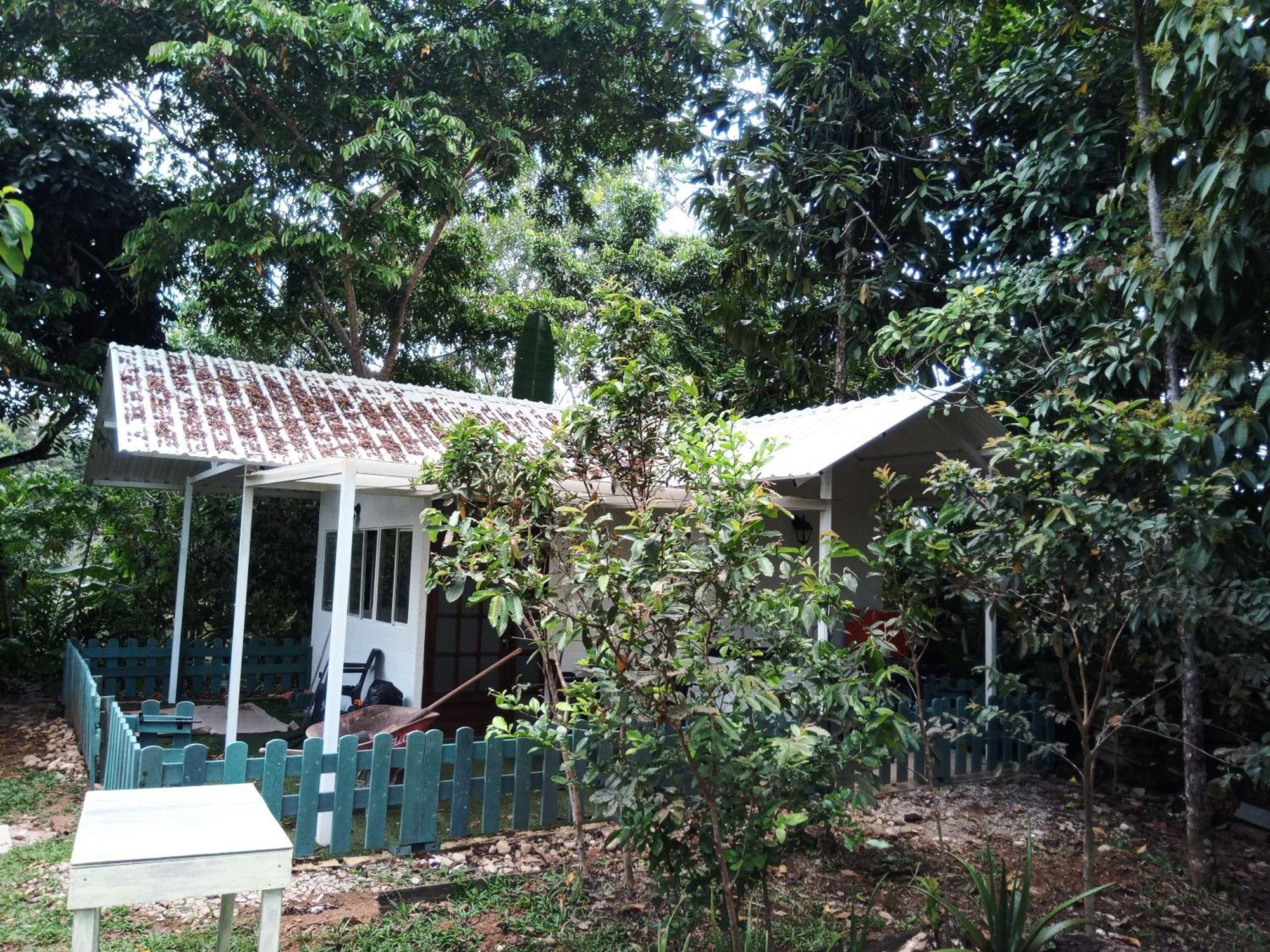 Hostal Suna Vito Puerto Asís Εξωτερικό φωτογραφία